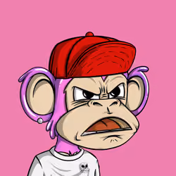 Jungle Bay Ape #2448
