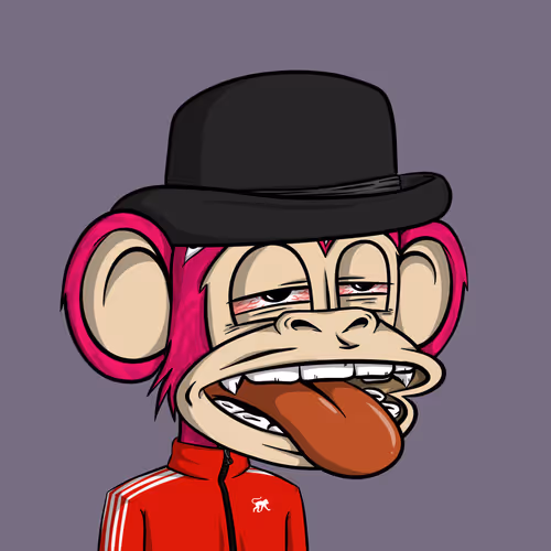 Junglebay