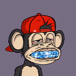 Jungle Bay Ape #2904