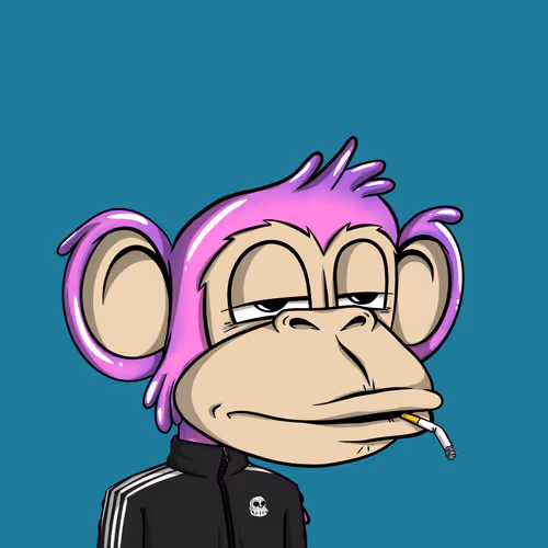 Junglebay