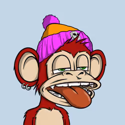 Jungle Bay Ape #1562
