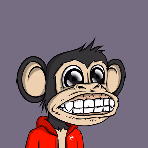 Junglebay