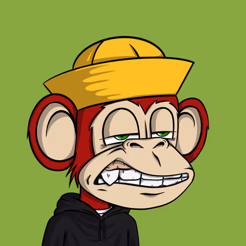 Junglebay