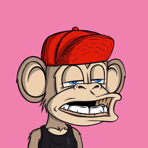 Junglebay