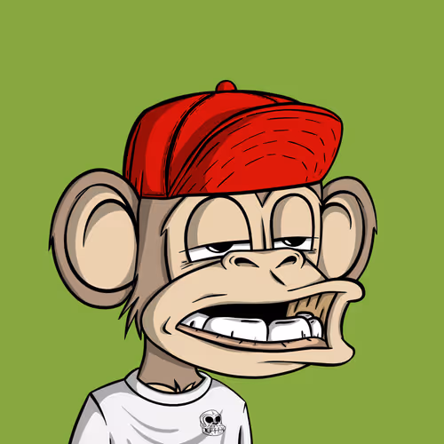 Junglebay
