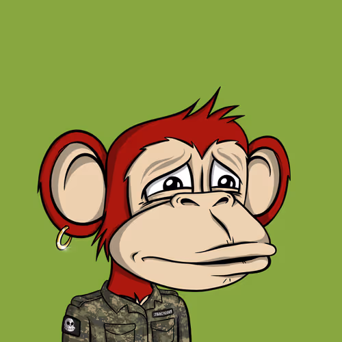Junglebay