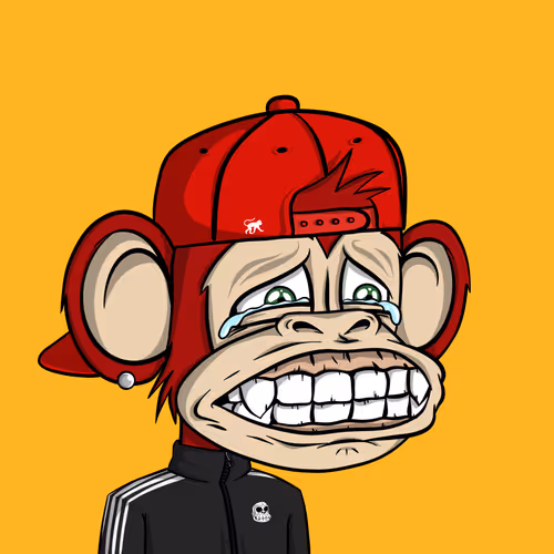 Junglebay