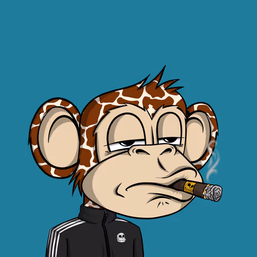 Junglebay