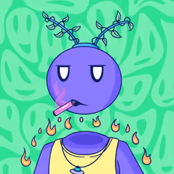 Yagi #55