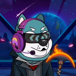 Cyber Shibas #2577