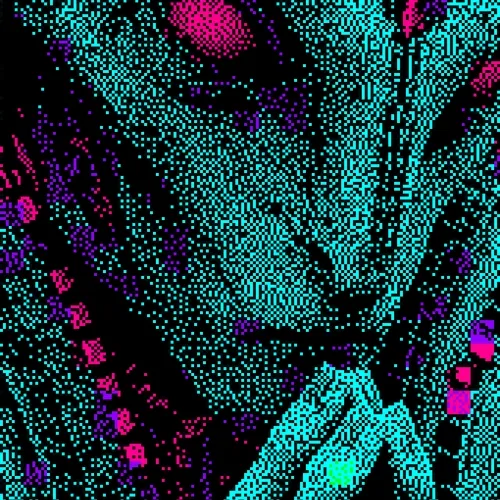 Enter The Dithervoid