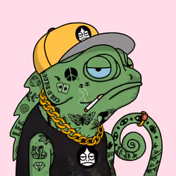 Karmeleon #2572