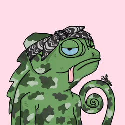 Karmeleon #834