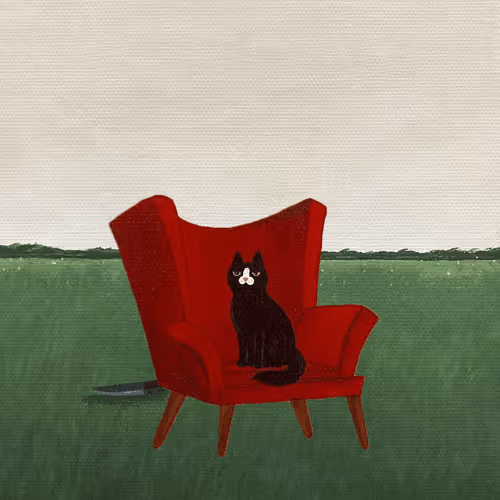 Travelingcat 1