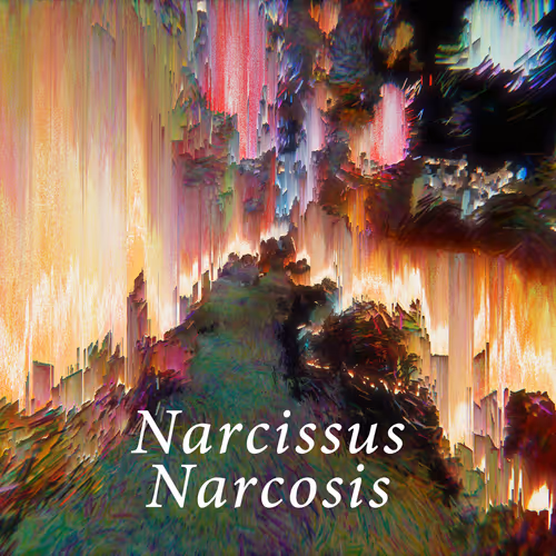 Narcissus Narcosis