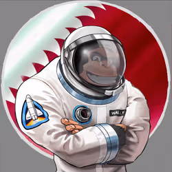 #0030 Qatar Astronaut