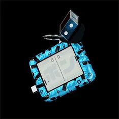 Item #21 Media
