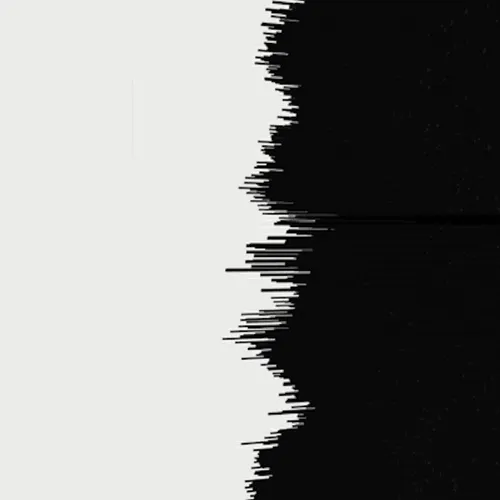 Black White Line