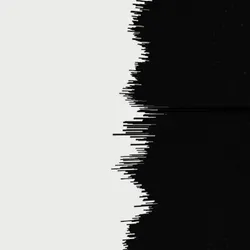 Black/White Line #626