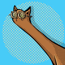 507