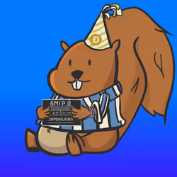 Squirrel #975