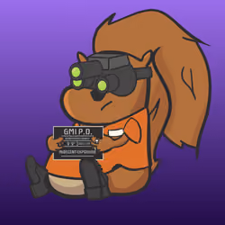 Squirrel #811