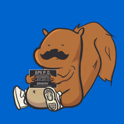 Squirrel #1151