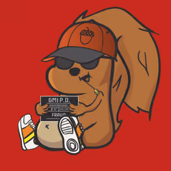 Squirrel #508