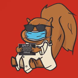 Squirrel #679