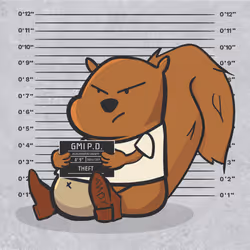 Squirrel #1162