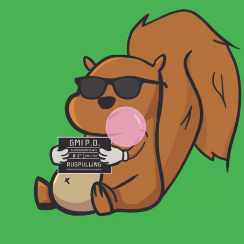 Squirrel #888