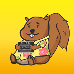 Squirrel #138