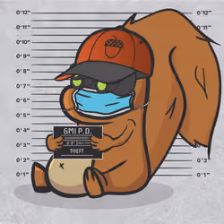 Squirrel #722