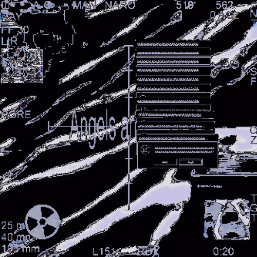 INTERNET VOID TECH #6