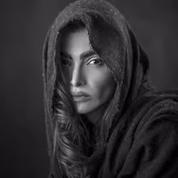 The Lens Legacy #16