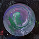 Lost Planets