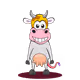 480