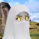 1442