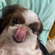 285