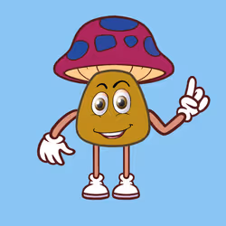 117