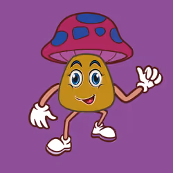 80