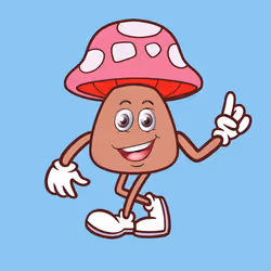 43