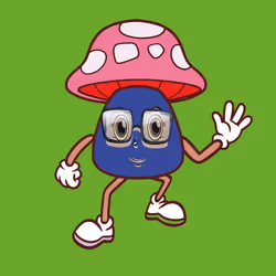 71