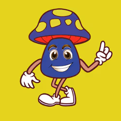 51