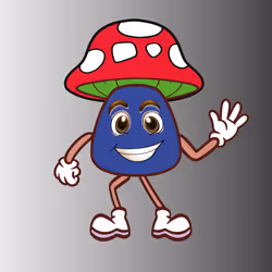26