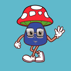 55