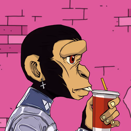 Katun Apes R Us