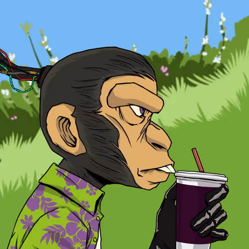 Katun Apes R Us
