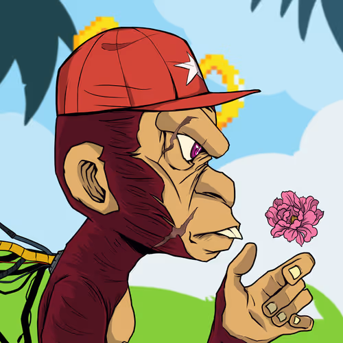 Katun Apes R Us