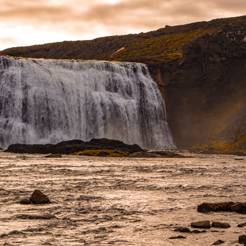 Golden Circle Dreams